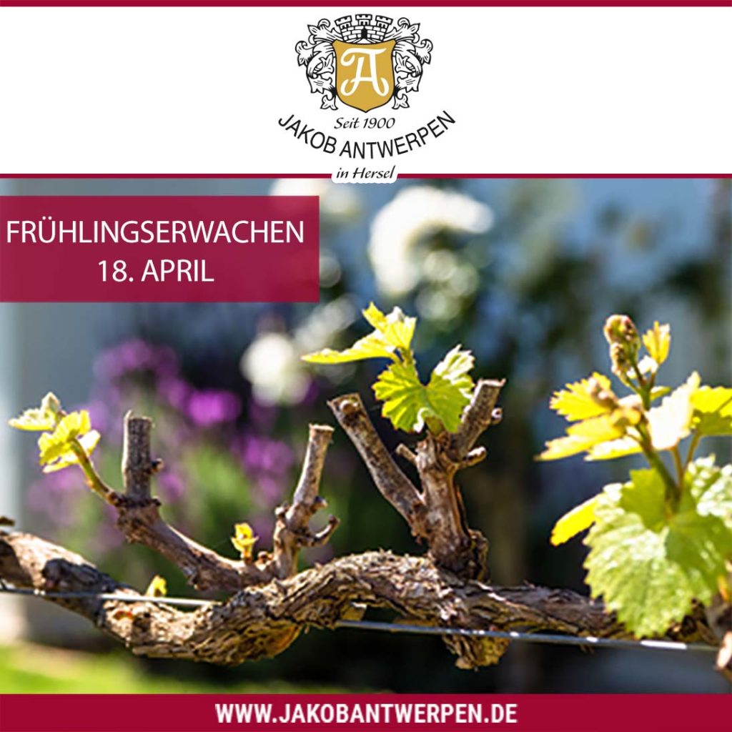 Frühlingserwachen 18. April 2021