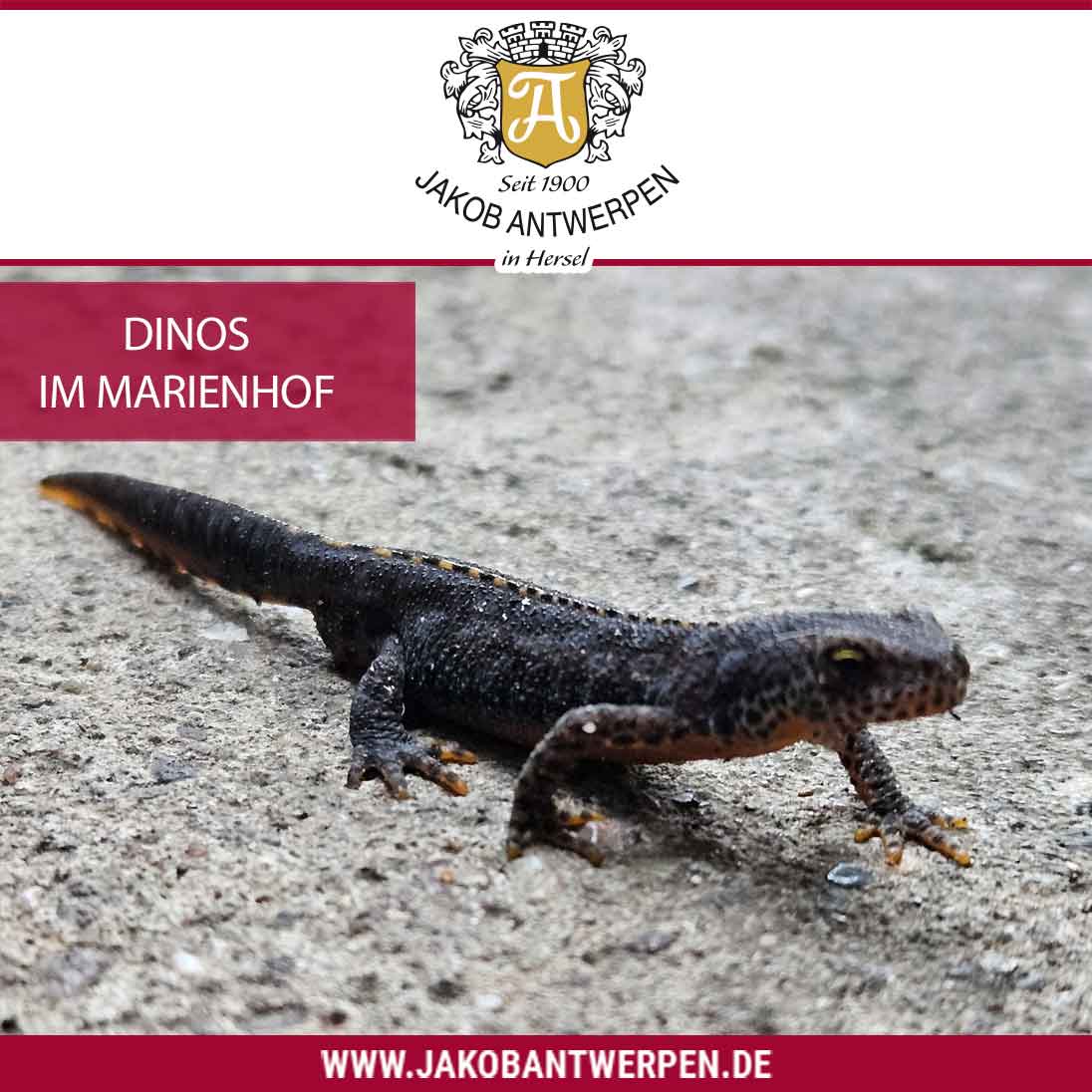 DINOS-im-Marienhof